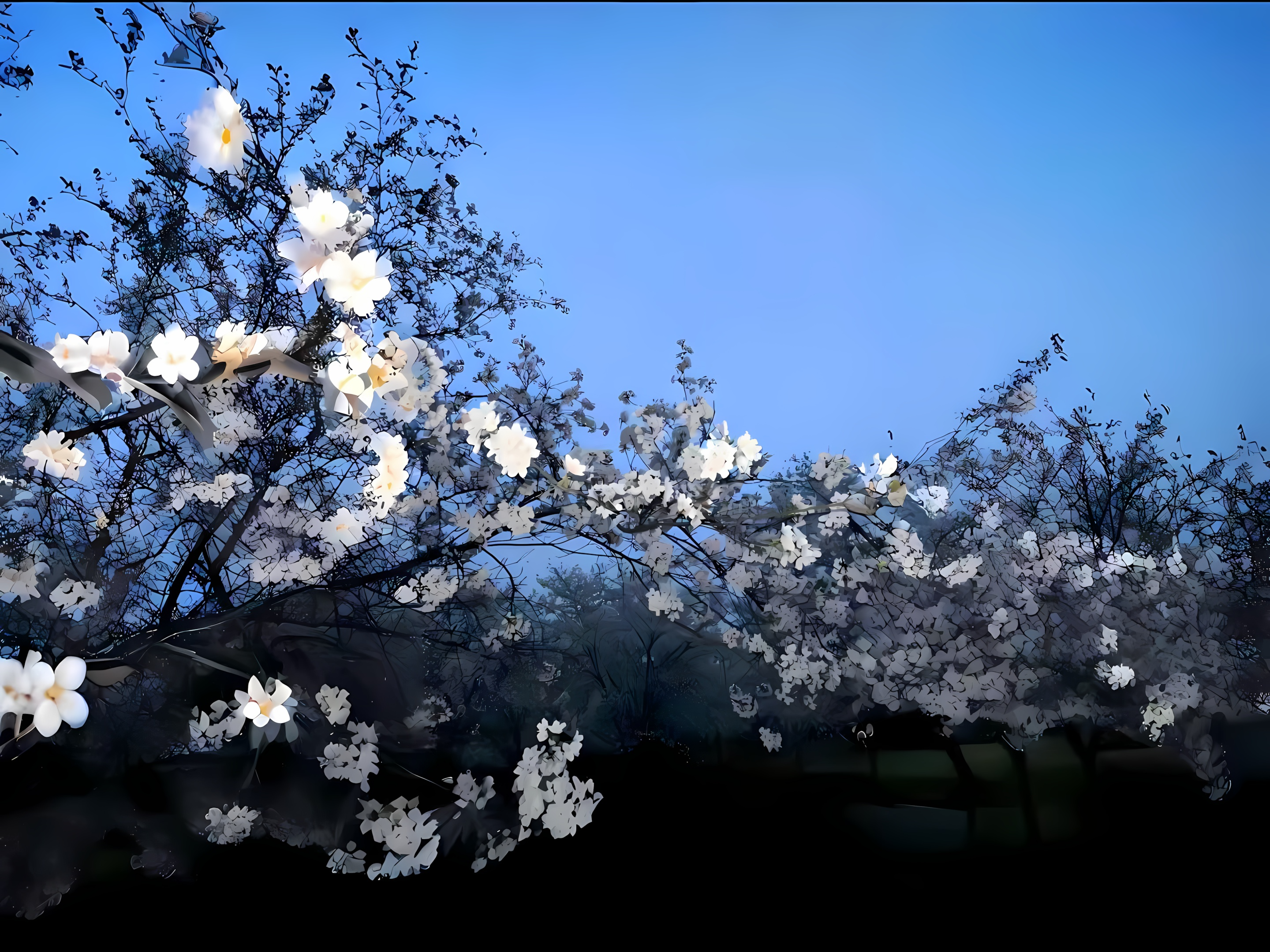 Desktop banner image 3