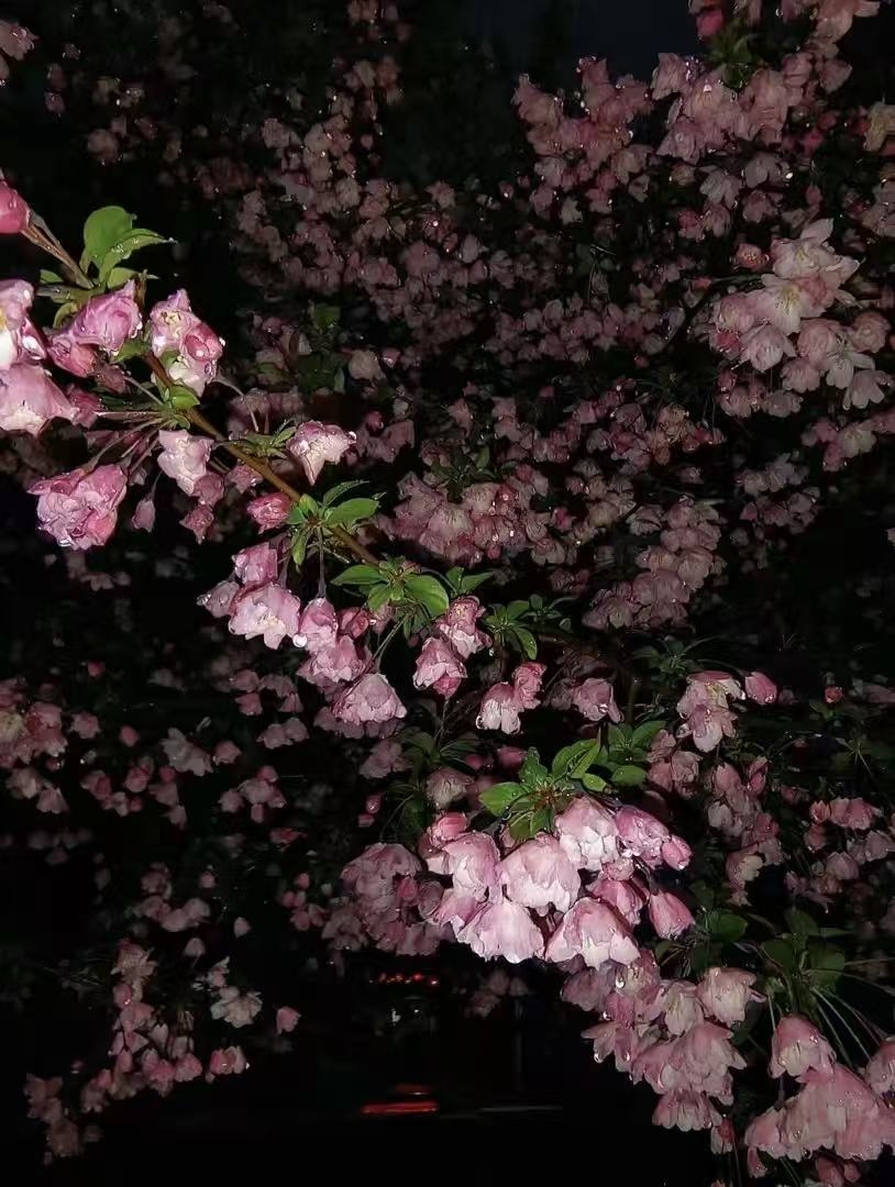 Mobile banner image 4